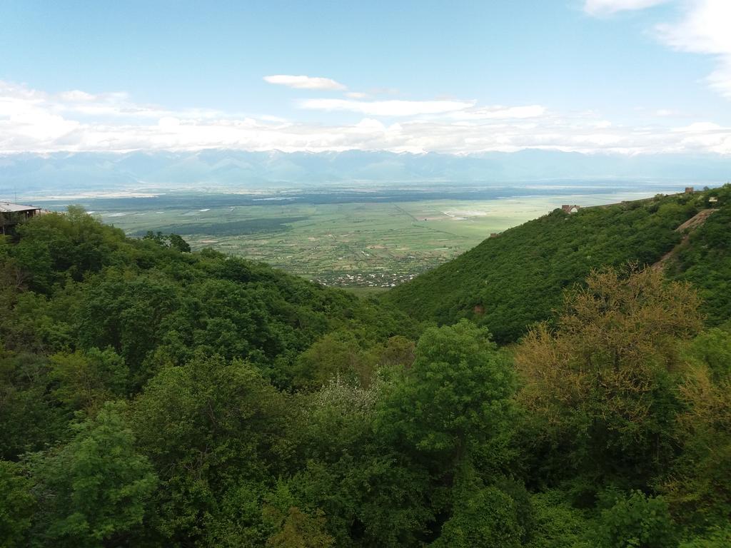 Hotel Martinichi Szenaki Kültér fotó